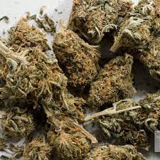 Explore Verified Products From an Online Dispensary Canada