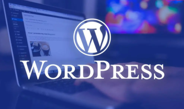  Exploring the Best WordPress VIP Alternative for Enterprise Growth